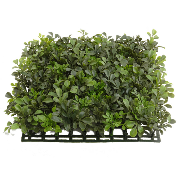 Primrue 18'' Faux Boxwood Hedge Wayfair Canada